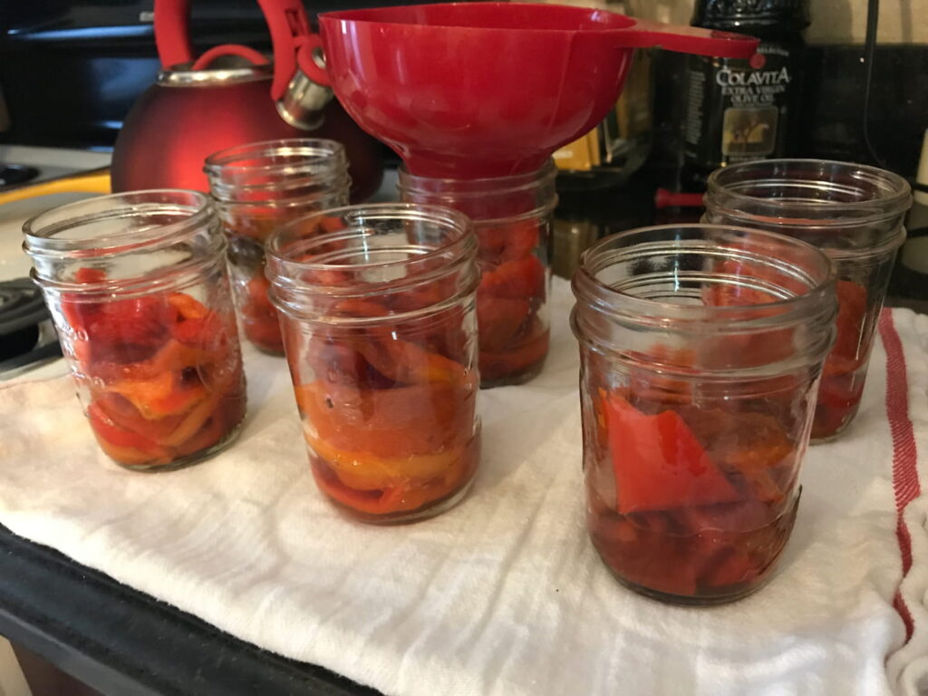 red peppers being canned