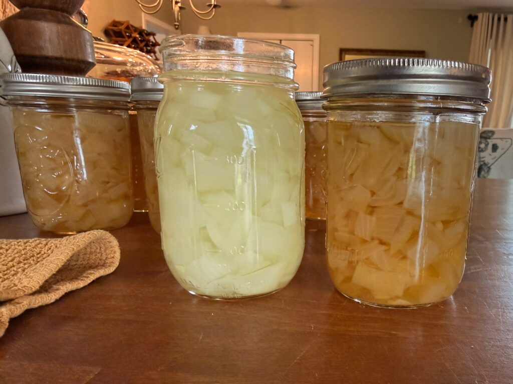 image of onions before and after canning